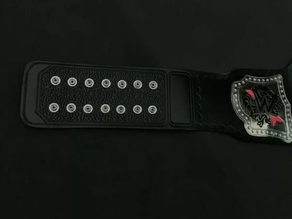 Divas Women World Heavyweight Championship Leather Belt - Image 5