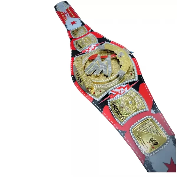 CM Punk World Heavyweight Spinner Championship Belt Wrestling