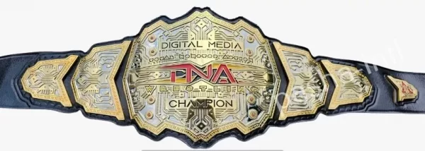 TNA Heavyweight Wrestling Championship Replica Belt