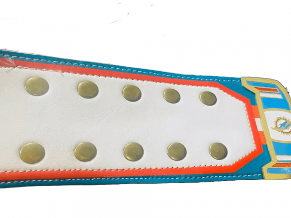 Miami Dolphins Championship customized belt