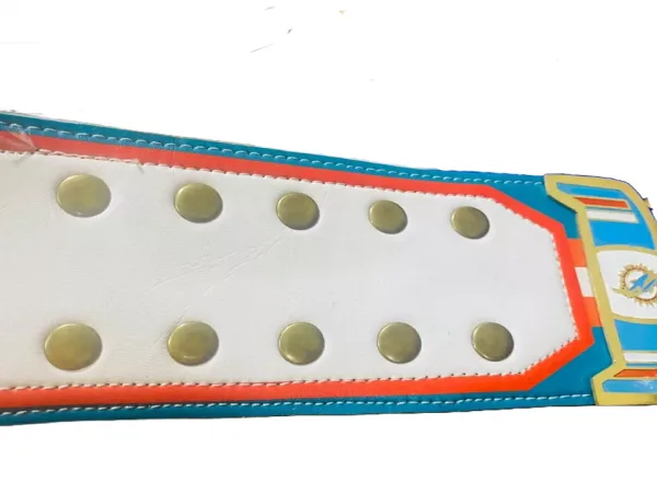Miami Dolphins Championship customized belt