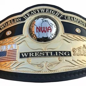 NWA DOMED GLOBE WORLD HEAVYWEIGHT WRESTLING CHAMPIONSHIP BELT
