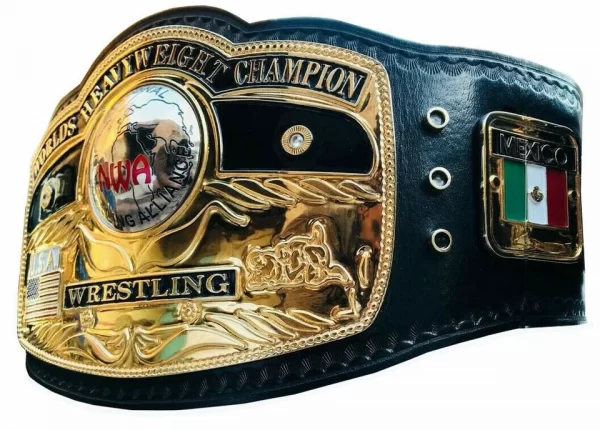 NWA DOMED GLOBE WORLD HEAVYWEIGHT WRESTLING CHAMPIONSHIP BELT - Image 4