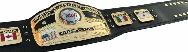 NWA DOMED GLOBE WORLD HEAVYWEIGHT WRESTLING CHAMPIONSHIP BELT - Image 3