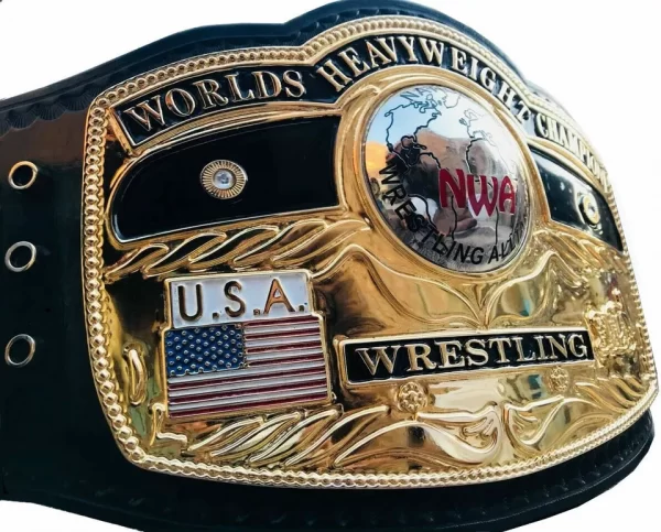 NWA DOMED GLOBE WORLD HEAVYWEIGHT WRESTLING CHAMPIONSHIP BELT - Image 2