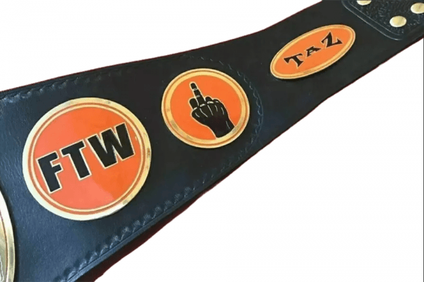TAZ FTW World Heavyweight Wrestling Championship - Image 4