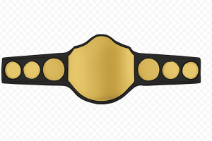 7 Plates ( Starting from $199 )