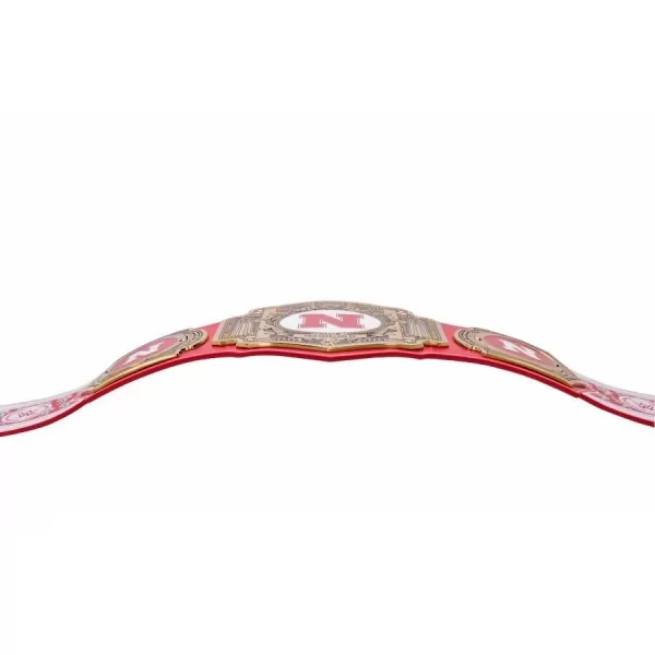 Nebraska Huskers Belt WWE Championship Legacy Title - Image 7