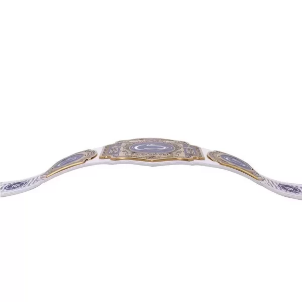 Penn State Nittany Lions Belt WWE Championship Legacy Title - Image 2