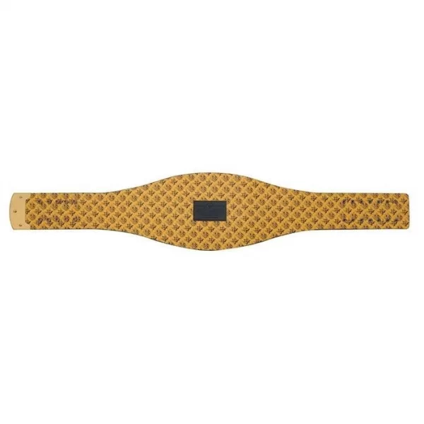 GREEN BAY PACKERS BELT WWE LEGACY TITLE - Image 6