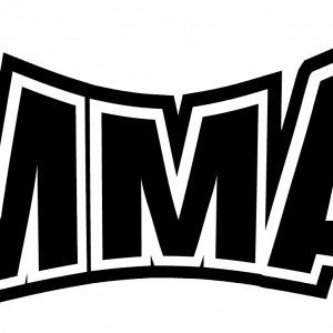 MMA Championship Belts