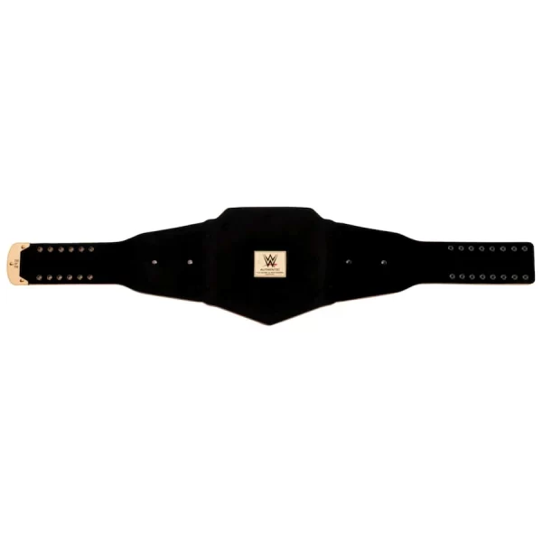 2025 Wrestle Mania 41 LosVegas Wrestling Championship Replica Title Belt
