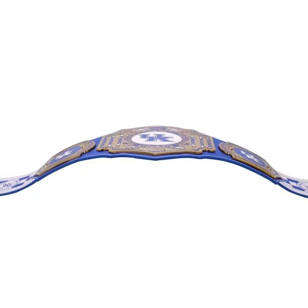 Kentucky Wildcats Championship Belt WWE Legacy Title - Image 6