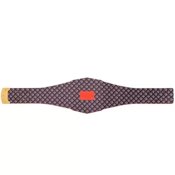 Cleveland Browns Championship Belt WWE Legacy Title