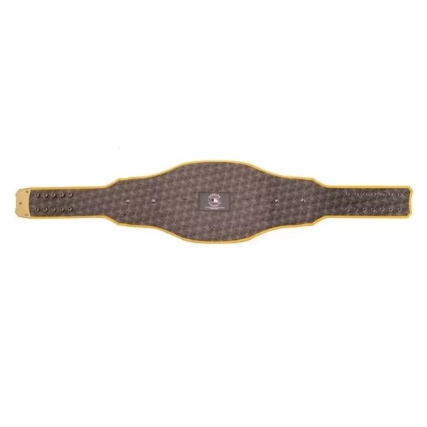 Pittsburgh Pirates Championship Belt WWE Legacy Title