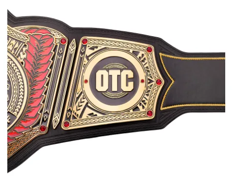 WWE SPINNER World Heavyweight Championship Dark Spinner Replica Title Belt (Copy)