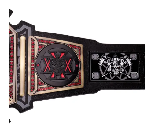 Triple H 30 Years The Authority WWE Championship Title Belt - Image 6