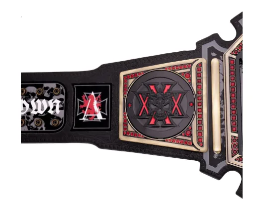 Triple H 30 Years The Authority WWE Championship Title Belt - Image 8